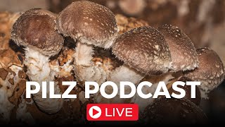 Pilz Podcast Live Folge 83 [upl. by Ecnarf834]