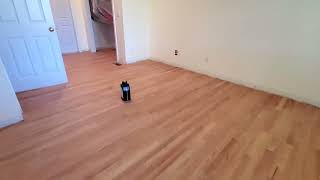 Duraseal Neutral stain with Ambering Polyurethane on Red Oak [upl. by Ayojal]