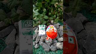 Tic Tac Mints amp Kinder Joy Box shortsytshortscandy [upl. by Ernestus]