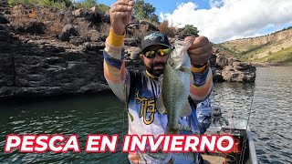 PESCA DE INVIERNO VIDEO CORTO [upl. by Declan790]