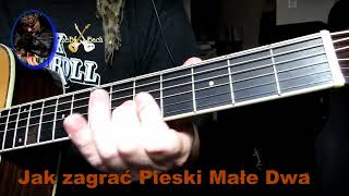 Gitara zebbach Jak zagrać Pieski Małe Dwa [upl. by Magdalene]