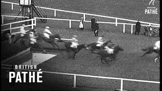 The Grand National 1936 1936 [upl. by Vladimar]