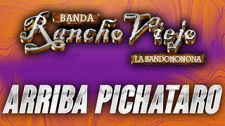 ARRIBA PICHATARO  BANDA RANCHO VIEJO  EN VIVO [upl. by Hoshi]