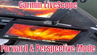 Garmin Livescope forward vs Perspective mode on the water comparison of both [upl. by Jilly]