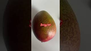 Sweet Mangoyoutuber viralshort mango o [upl. by Nassir]