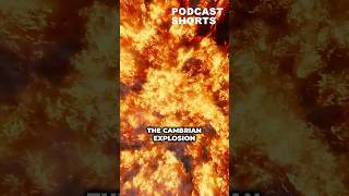 Unveiling Cambrian Explosion Earths Most Surprising Evolution  shorts podcast podcastclips [upl. by Drageruaeb637]