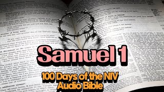 Audio Bible NIV 24 DayChapter 815 Samuel 1 [upl. by Plusch]