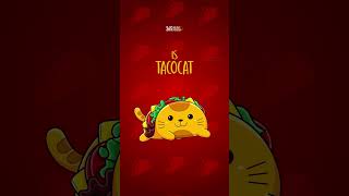 Taco Day  October 4 [upl. by Broderic]