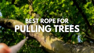 Best Rope for Pulling Trees  Top Rated Bull Ropes [upl. by Elburt367]