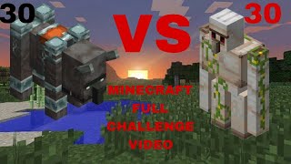 IRON GOLEM VS RAVAGER WINNER MINECRAFT CHALLENGE VIDEO Rajasdhivala5978 [upl. by Milah]