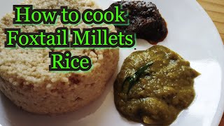 How to cook కొర్రలు rice  how to cook Foxtail Millet Rice  Korralu Rice in Telugu  Millet Recipes [upl. by Eveivenej]