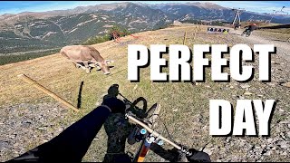 Experience The Ultimate Riding Day At The Bike Park [upl. by Irehc]