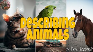 Describing Animals My Cat [upl. by Aitselec]