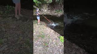 Pole fishing with no reel for a 8 pound trout [upl. by Lokcin]