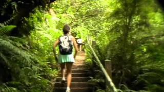 Kokoda Trail Memorial 1000 Steps Dandenong Ranges Melbourne Australia [upl. by Enilekaj]