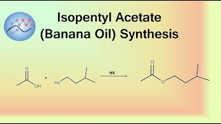 Isopentyl Acetate Banana Oil Synthesis Mechanism  Organic Chemistry [upl. by Ris]