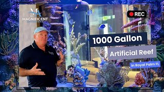 1000 Gallon Artificial Reef Aquarium • Royal Palm Boca Raton Florida [upl. by Asatan263]