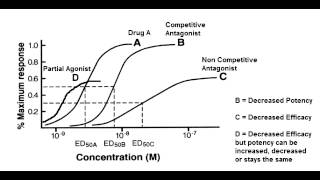 Receptor Binding Graph  Competitive amp Noncompetitive Antagonist Partial Agonist [upl. by Nosylla]