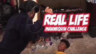 If You Could Use The MannequinChallenge In Real Life [upl. by Neelhsa]