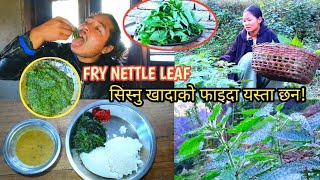 FRY NETTLE LEAF VERRY DELICIOUSquotसिस्नु भुटेर खादा सारै मीठोquot चमत्कारीक फाइदाहरु यस्ता छन [upl. by Ide]