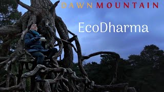 Ecodharma First Sunday Chapter 90 with Kaisu Koski [upl. by Neehs]