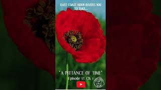 It Only Takes quotA Pittance of Timequot to Remember remembranceday veterans eastcoast [upl. by Yankee]