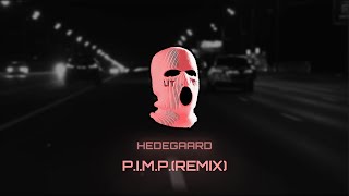 50 Cent  PIMP HEDEGAARD Remix [upl. by Nigrom152]