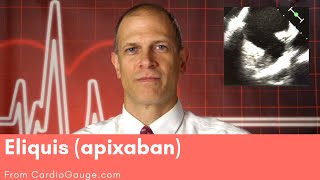 Eliquis apixaban Basics about this medicine its use effectiveness and side effects [upl. by Ekal569]