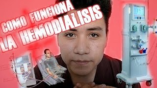 ¿COMO FUNCIONA LA HEMODIALISIS [upl. by Ivers]