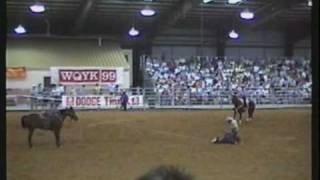 Calf Roping  Southeastern Circuit Finals Rodeo  1988 [upl. by Bullock]