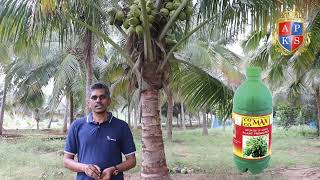 Coco Max  Coconut Farmer Sharing Cocomax Results after Using 3 Years of Experience [upl. by Drofnelg]