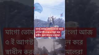 আমার সোনার বাংলা আজ স্বাধীন হলো  Quota Movement  Quota Andolan  Quota Song  Bangla Song  Shorts [upl. by Aeel56]