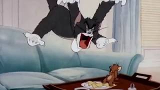 Tom And Jerry in The Million Dollar Cat 1951 1957 Release Titles Opening And Closing [upl. by Eimmot612]