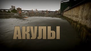 Проверка легенд  GTA IV Выпуск 4 quotАкулыquot [upl. by Esyned]