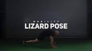 Mobility  How to do the lizard pose [upl. by Ewall]