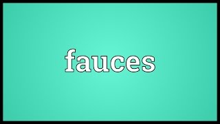 Fauces Meaning [upl. by Leeda584]