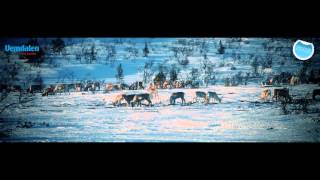 Vemdalen  Cross Country Skiing [upl. by Semajwerdna951]