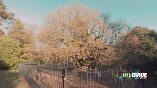 Walk through Calderstones Park  The Guide Liverpool [upl. by Rome988]