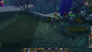 Exodar Riding Trainer Location WoW TBC Draenei Riding Trainer [upl. by Rask]