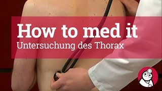 How to med it Untersuchung des Thorax [upl. by Atekehs590]