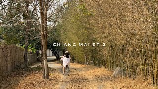 CHIANG MAI TRAVEL EP 2 误闯清迈竹林秘境  Hoshihana Village Baan Kang Wat The Earth Hotel [upl. by Aivax]