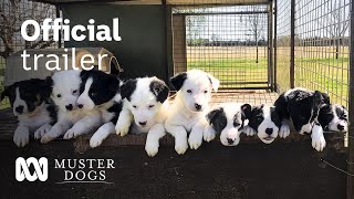 Muster Dogs Season 2 Official Trailer  ABC Australia [upl. by Allemahs]