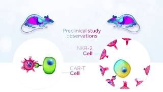 Celyads NKR 2 Therapy  Celyad video [upl. by Chadburn]