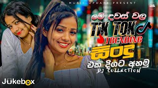 2024 Tik Tok Trending Hit මේ මාසේ හිට් උන ටික එක දිගට අහමු TikTok Trending Songs playlist 2024 [upl. by Cresida]