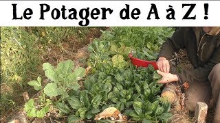 Le Potager de A à Z 10 légumes qui se ressèment [upl. by West531]