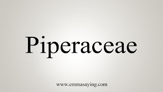 How To Say Piperaceae [upl. by Toiboid]