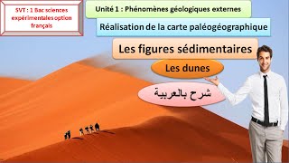 Les figures sédimentaires les dunes 1 Bac sc ex شرح بالعربية [upl. by Nelda]