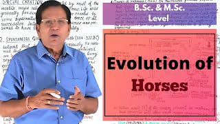 Evolution of Horses  BSc amp MSc Level [upl. by Ingrim]