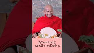 වැඩියෙන් සතුටු දුන්නමද 💫ලැබුනමද💫bana banakatha dharmadeshana welimadasaddhaseelathero [upl. by Shaver234]