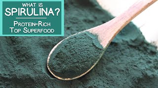 What is Spirulina A Proteinrich Top Superfood Algae [upl. by Dov391]